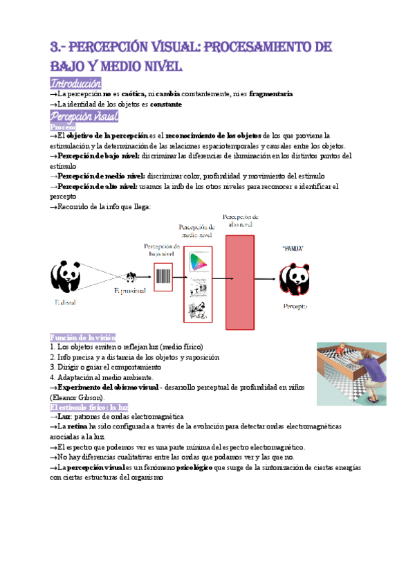 Miniatura del documento 3.-Percepcion-visual-Procesamiento-de-bajo-y-medio-nivel.pdf
