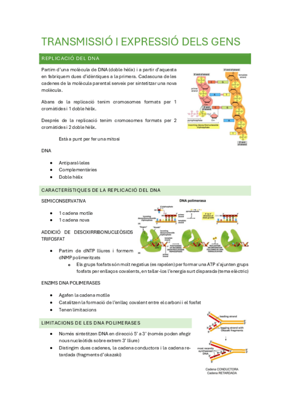 Miniatura del documento Biologia-cellular.pdf