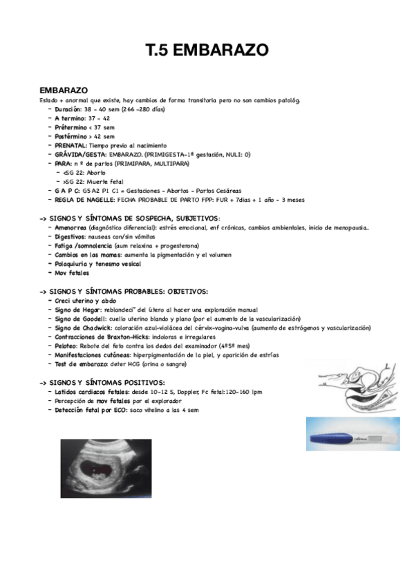 Miniatura del documento T5-materno.pdf