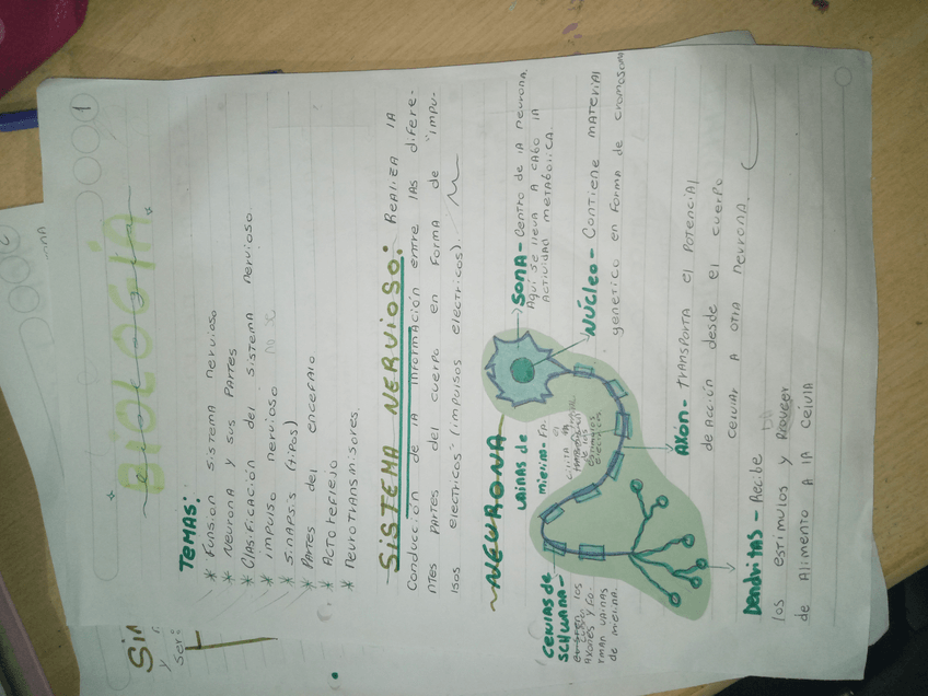 Miniatura del documento Neurona.jpg