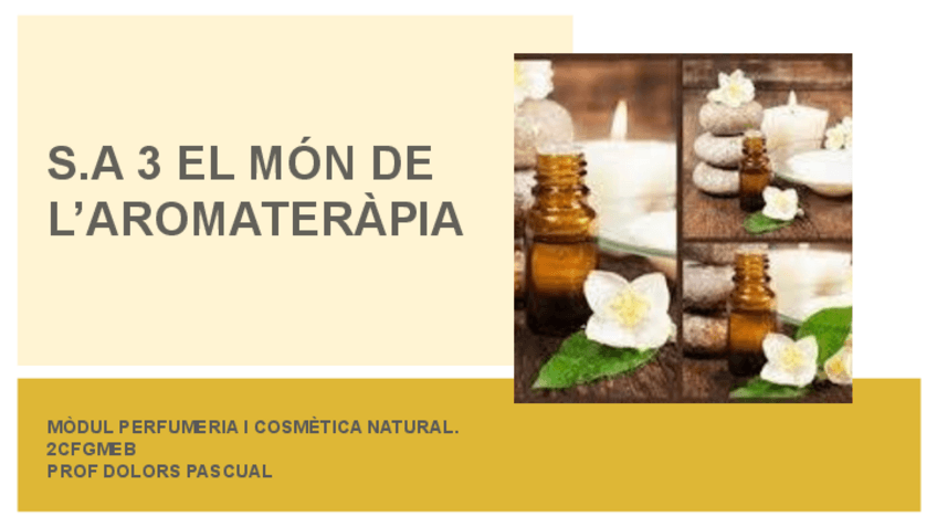 Miniatura del documento UD-3-MON-DE-L-AROMATERAPIA.pptx.pdf