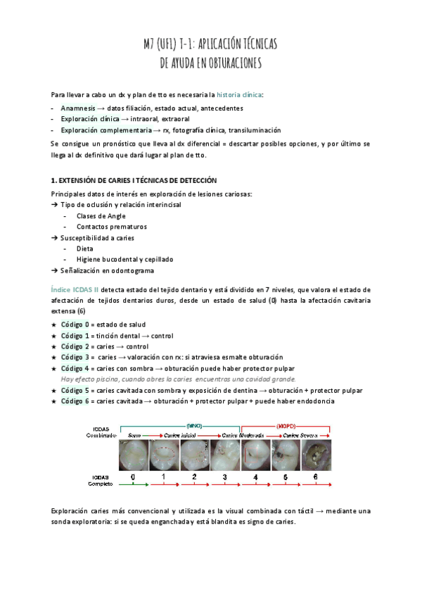 Miniatura del documento M7-UF1-T-1-APLICACION-DE-TECNICAS-DE-AYUDA-EN-OBTU.pdf