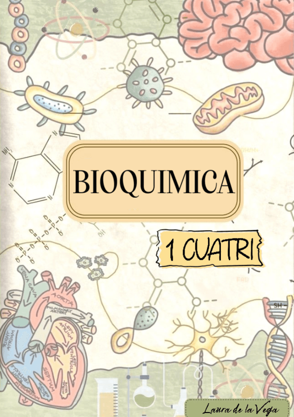 Miniatura del documento APUNTES-BIOQUIMICA-1-CUATRI-COMPLETO.pdf