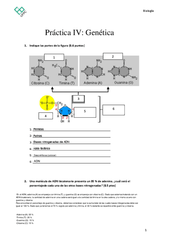 Miniatura del documento A14Practica-IV.-Genetica.pdf