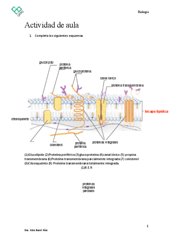 Miniatura del documento Actividad-de-aula-Repaso-T1-5ENF-2-1.pdf