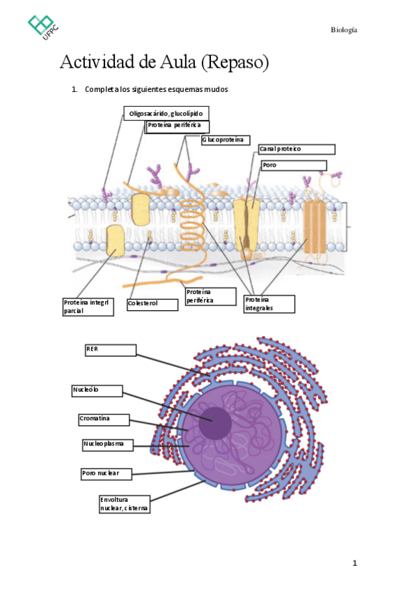 Miniatura del documento Actividad-de-Repaso-copia.pdf
