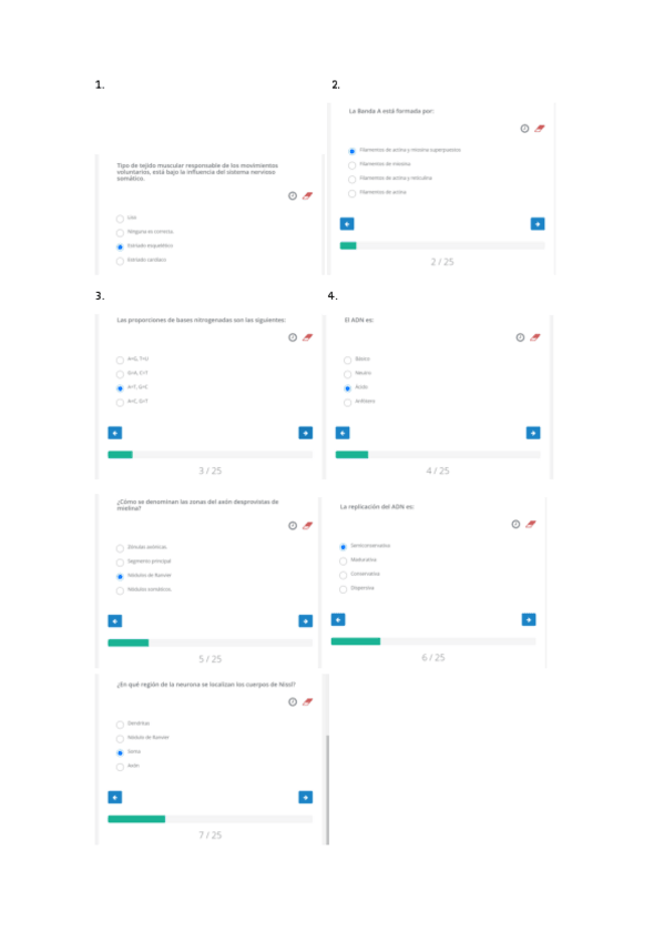 Miniatura del documento Test.pdf