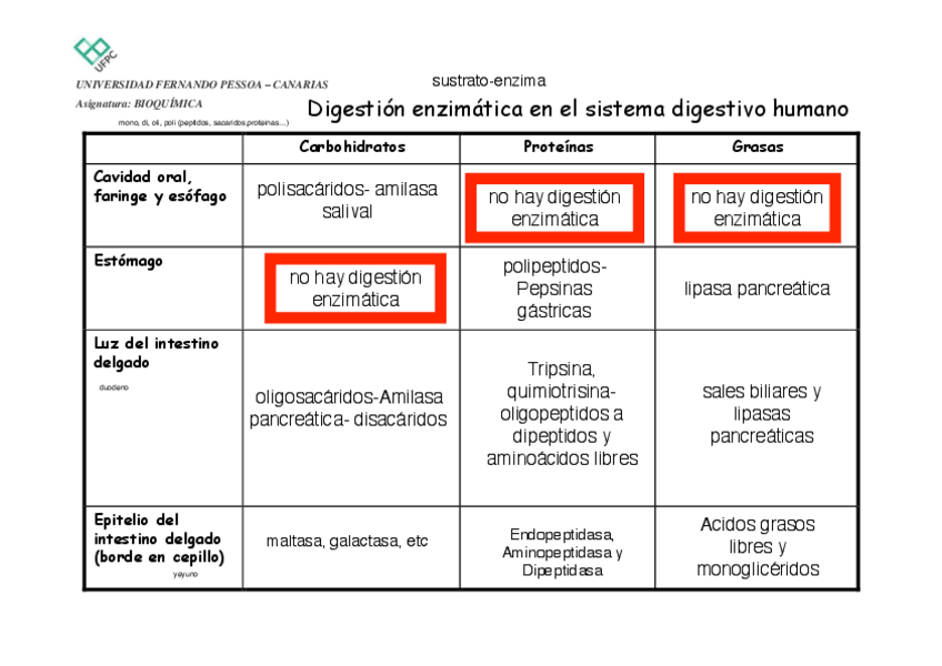 Miniatura del documento Tarea-enzimas.pdf