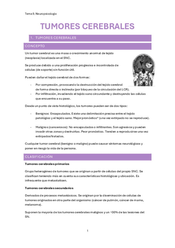 Miniatura del documento tema-9.-neuropsicologia.pdf