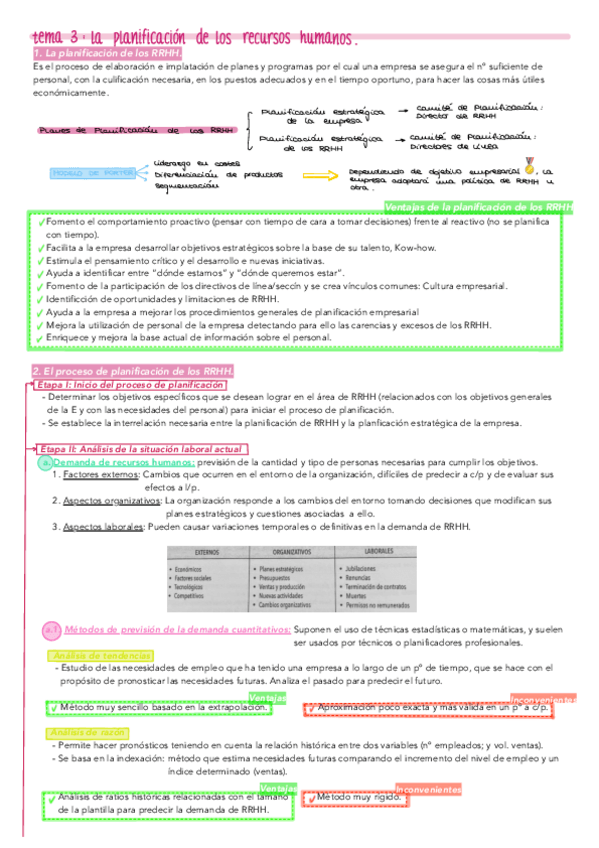 Miniatura del documento Tema 3- La planificación de los recursos humanos. Gestión RRHH..pdf
