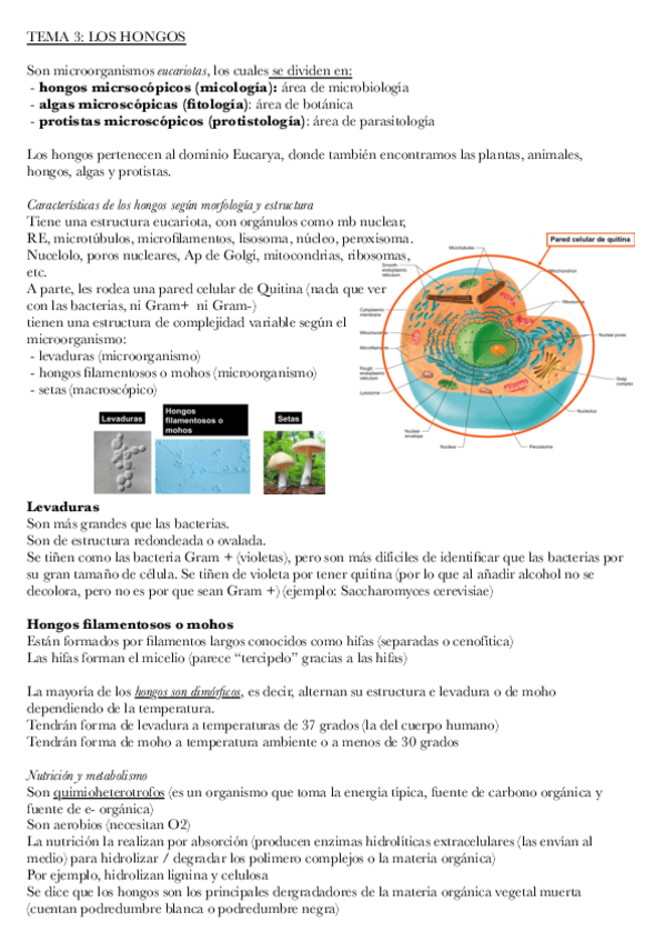 Miniatura del documento MICROBIOLOGIA-tema-3.pdf