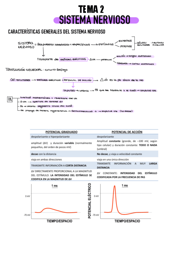 Miniatura del documento FISIO-APUNTES-LIMPIO.pdf