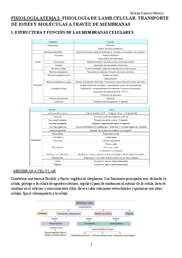 Miniatura del documento FISIO-TEMA-2.pdf
