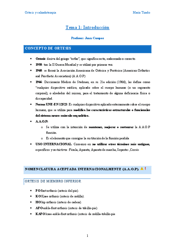 Miniatura del documento Ortesis-Juan.pdf