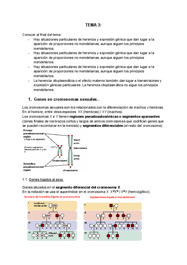 Miniatura del documento Genetica-I-TEMA-3COLOR.pdf