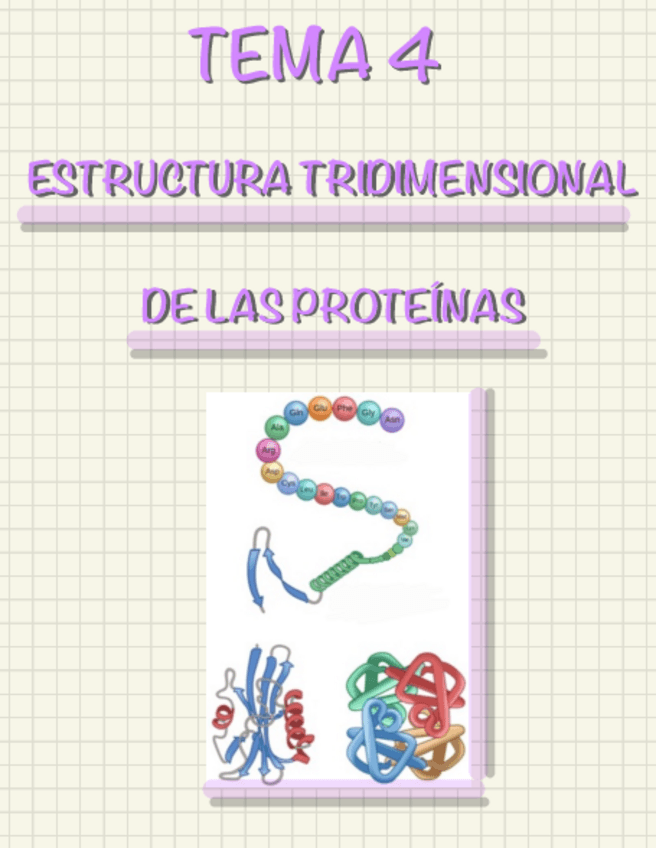 Miniatura del documento TEMA-4-ESTRUCTURA-DE-LAS-PROTEINAS.pdf
