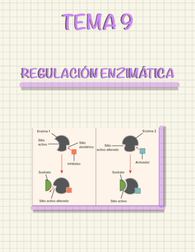 Miniatura del documento TEMA-9-REGULACION-ENZIMATICA.pdf