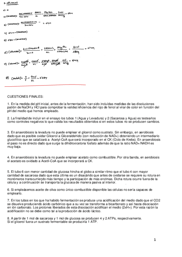 Miniatura del documento GUION-DE-LA-PRACTICA-2-DE-BQ-II-Biotec.-2024.pdf