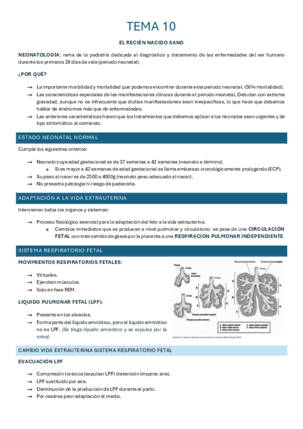 Miniatura del documento Tema-10.pdf
