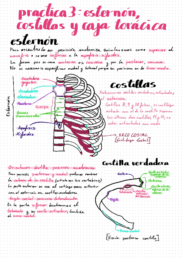 Miniatura del documento Practica-laboratorio-3.pdf