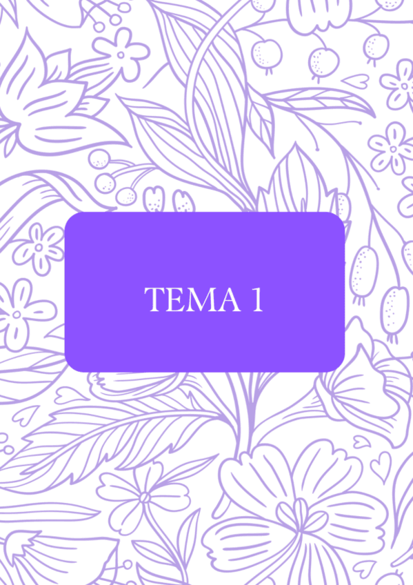 Miniatura del documento APUNTES-PLANIFICACION.pdf