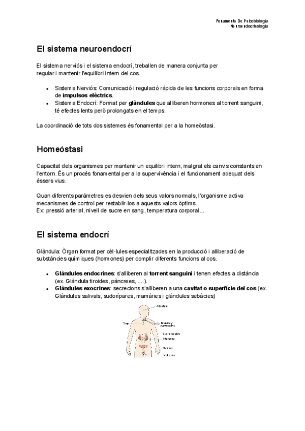 Miniatura del documento Fonaments-De-Psicobiologia-Neuroendocrinologia.pdf