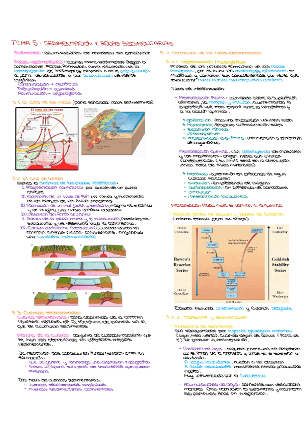 Miniatura del documento Resumen tema 5. Sedimentación y rocas sedimentarias.pdf