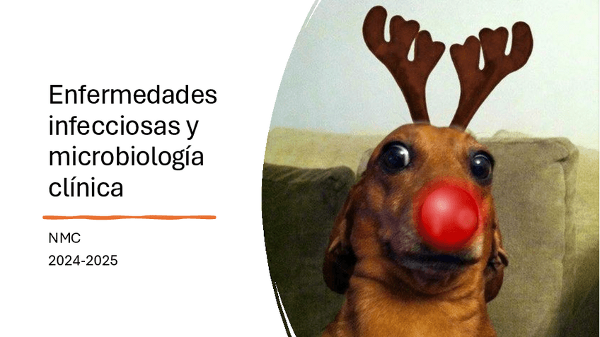 Miniatura del documento RESUMEN T1 INFECCIOSAS CON IMAGENES.pdf