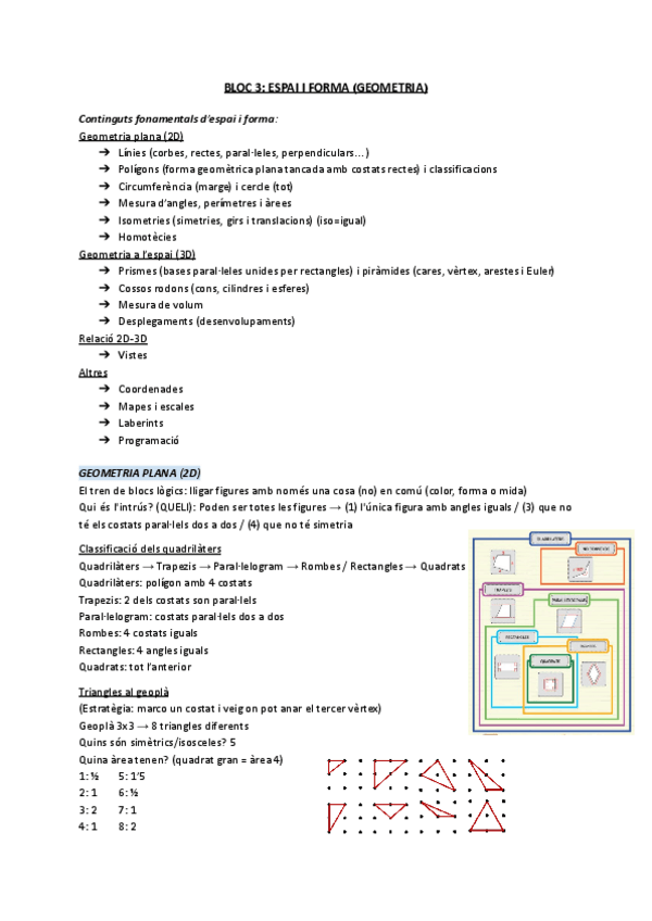 Miniatura del documento BLOC-3-ESPAI-I-FORMA-GEOMETRIA.pdf
