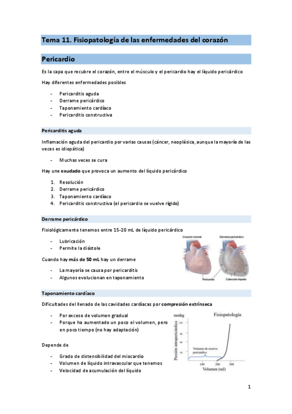 Miniatura del documento T11-cardio-pato.pdf