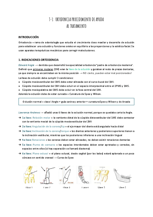 Miniatura del documento T-1-ORTODONCIA-PROCEDIMIENTO-DE-AYUDA.pdf