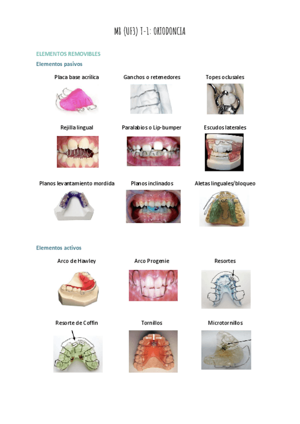 Miniatura del documento M8-UF3-T-1-ORTODONCIA.pdf