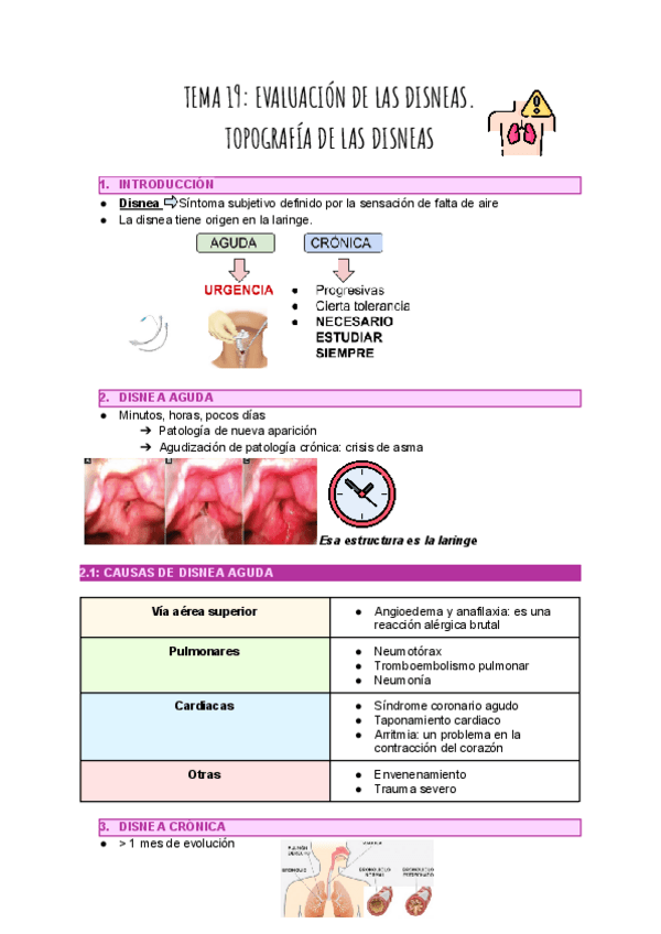 Miniatura del documento TEMA-19.pdf