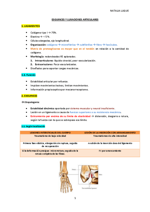 Miniatura del documento TEMA-6-ESGUINCES-Y-LUXACIONES-ARTICULARES.pdf