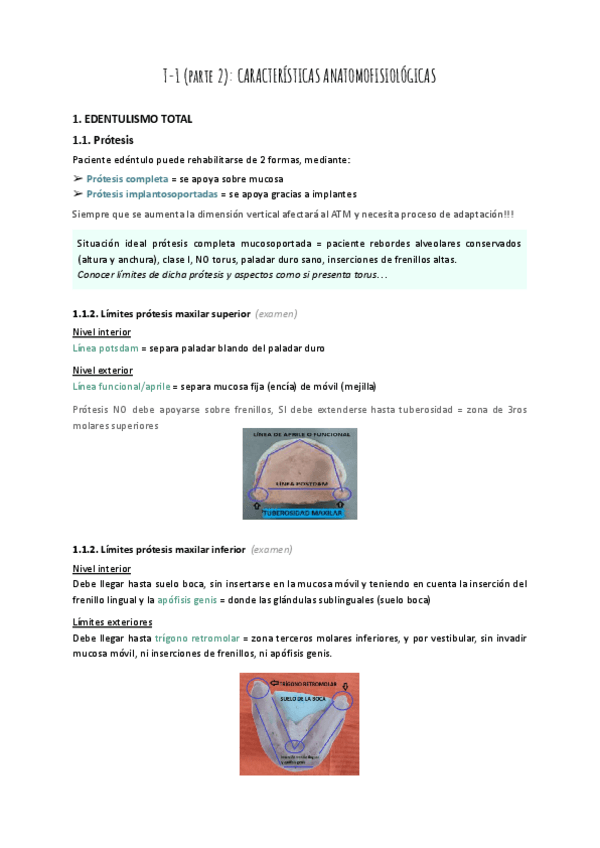 Miniatura del documento T-1-parte-2-CARACTERISTICAS-ANATOMOFISIOLOGICAS.pdf