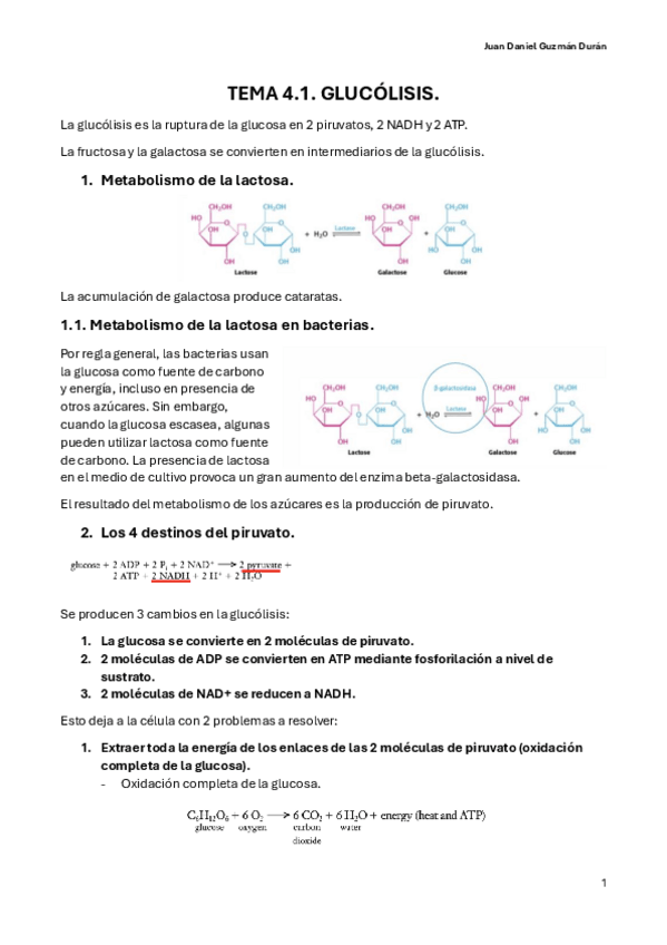 Miniatura del documento TEMA-4.1.-GLUCOLISIS.pdf