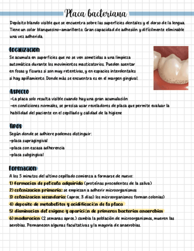 Miniatura del documento Reveladores-Y-Tincion-De-Placa.pdf