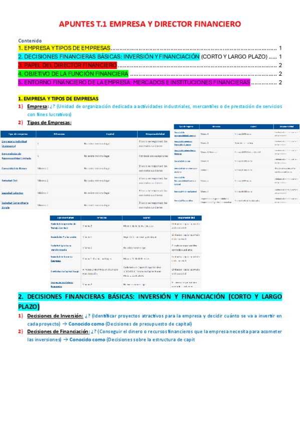 Miniatura del documento 1.-Apuntes-T.1-Empresa-y-Director-Financiero-DIRECCION-FINANCIERA-I.pdf