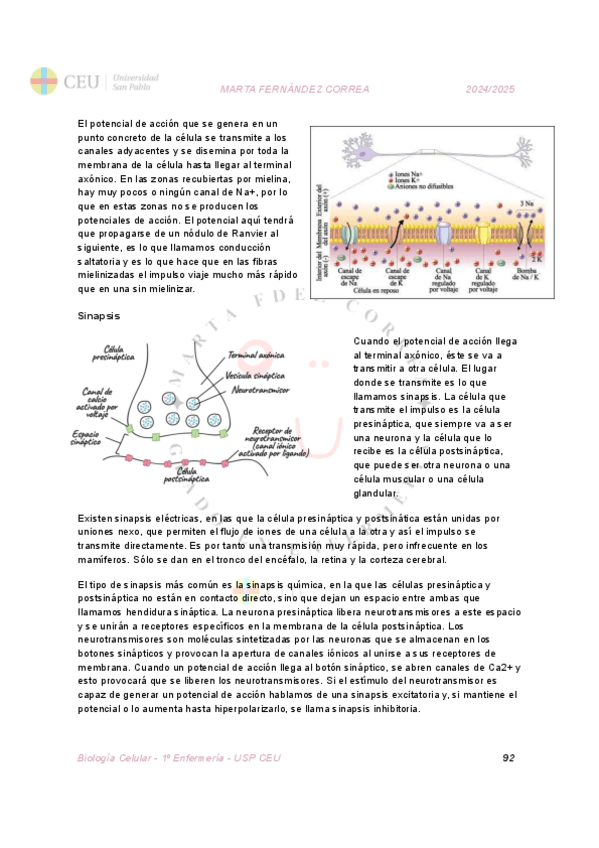 Miniatura del documento TEMA-11.pdf