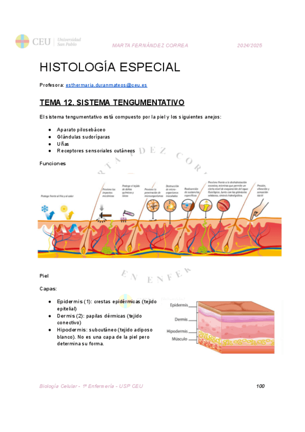 Miniatura del documento TEMA-12.pdf