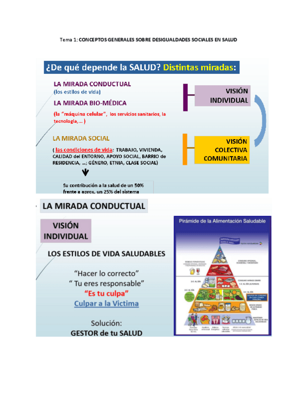 Miniatura del documento Tema-1-Salud-y-desigualdad-resumido.pdf