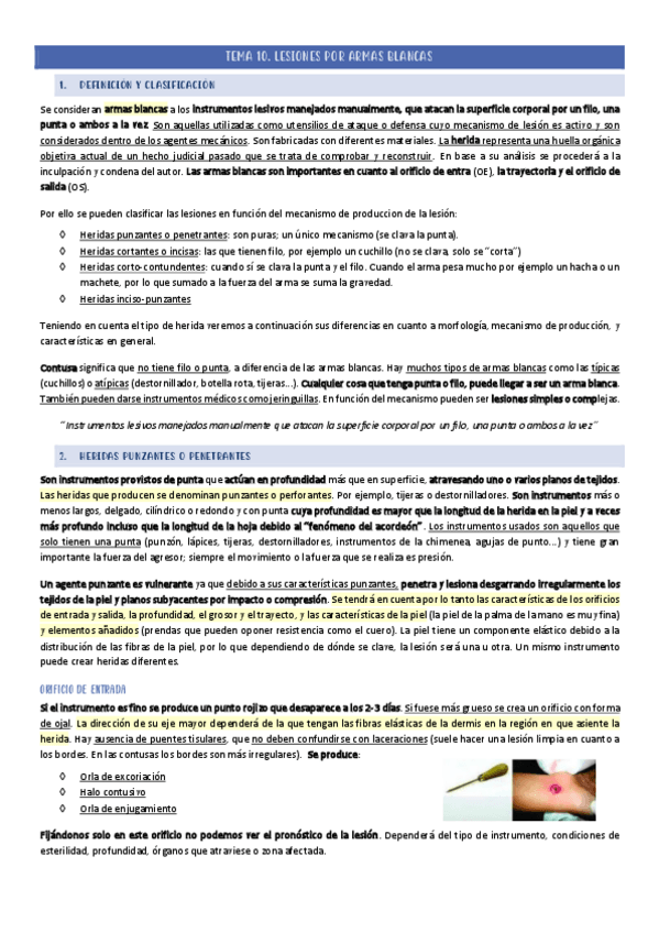 Miniatura del documento TEMA-10.pdf