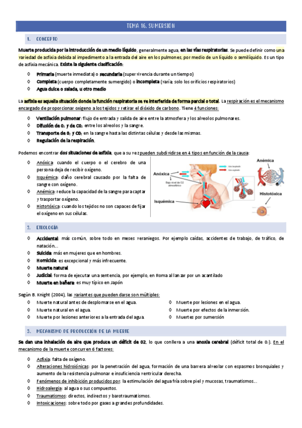 Miniatura del documento TEMA-16.pdf