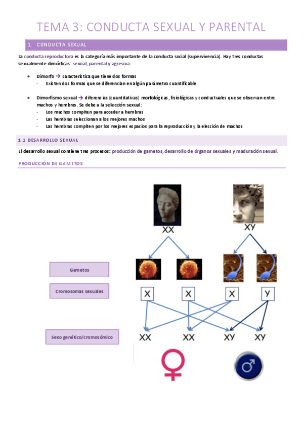 Miniatura del documento T.3-Conducta-sexual-y-parental.pdf