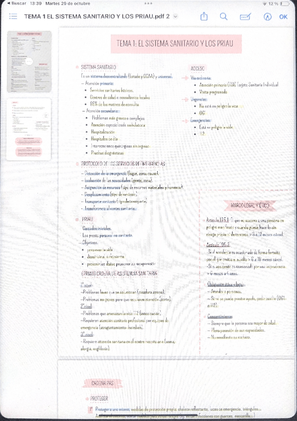Miniatura del documento PRIAU-1.pdf