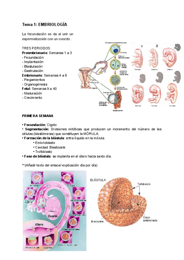 Miniatura del documento Temas-1-al-7.pdf