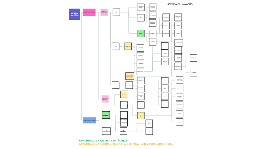 Miniatura del documento RAMAS-ARTERIA-CAROTIDA.pdf
