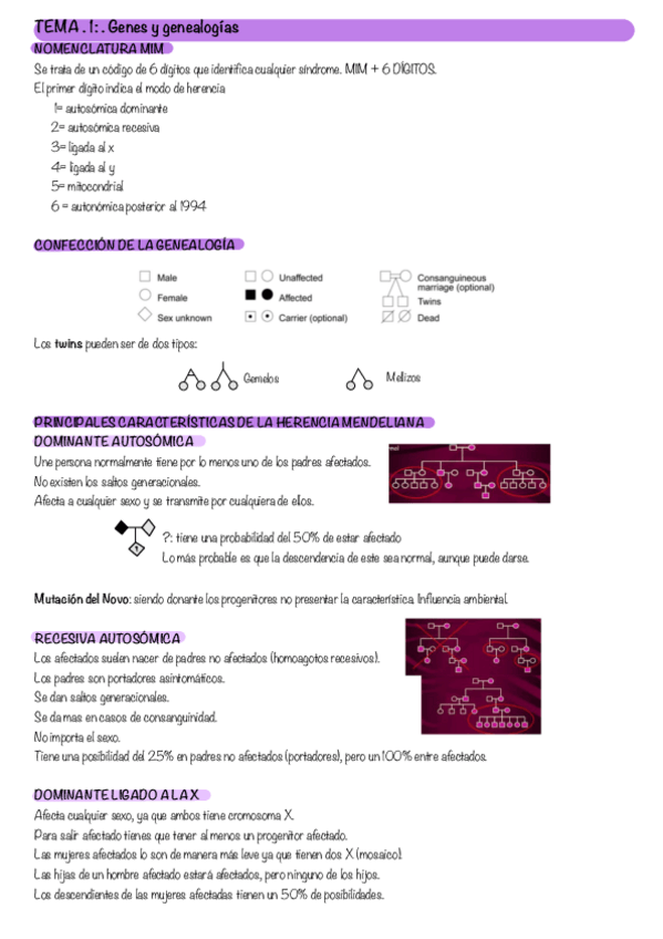 Miniatura del documento Genetica-Completos.pdf