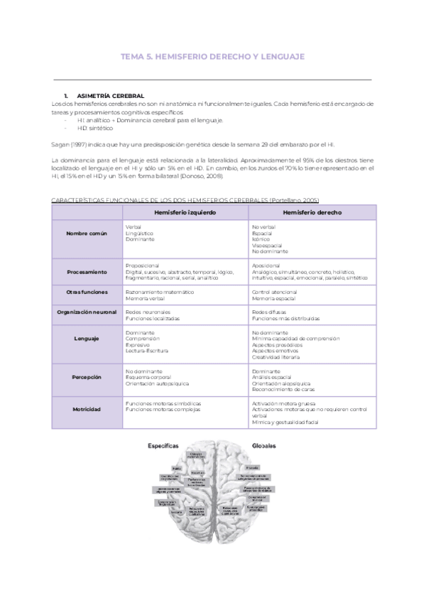 Miniatura del documento Tema-5.-Hemisferio-derecho-y-lenguaje-1.pdf