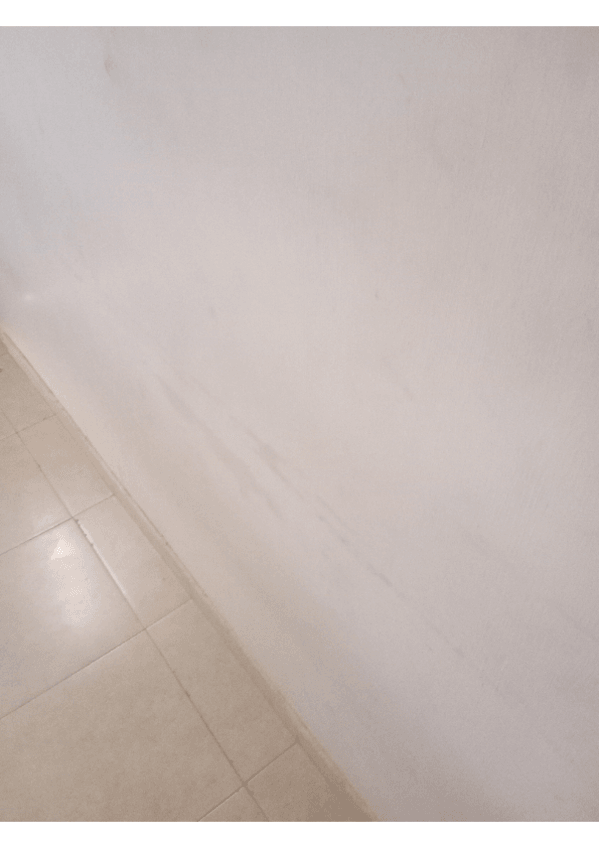 Miniatura del documento Image-to-PDF-20241029-12.59.35.pdf